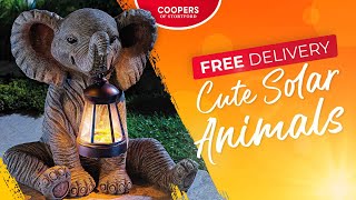 Get Free Delivery on Coopers Loveable Animal Solar Lights 2023 [upl. by Zabrine]