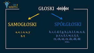 Samogłoski i spółgłoski wszystko co najważniejsze [upl. by Goodyear]