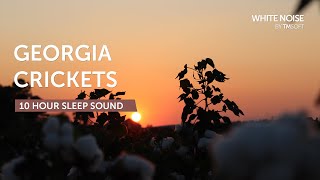 Georgia Summer Evening Crickets amp Katydids  10 Hours Sleep Sound  Black Screen [upl. by Eronaele]