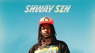 Shwayze  Dont Go Official Audio [upl. by Haimehen]