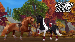 Achat de 2 islandais pour le Black Friday   Star Stable [upl. by Solohcin]