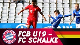 FC Bayern München  FC Schalke 04 13  Highlights U19Bundesliga Halbfinale [upl. by Ayekehs]