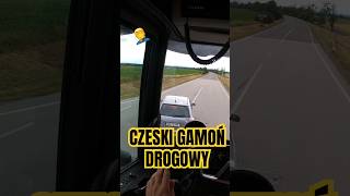 Gamoń na czeskiej drodze czechrepublic idiotsontheroad truckdriver [upl. by Lednahc]