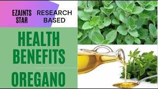 Health Benefits of Oregano based on research Bawal sa Buntis [upl. by Ogait]