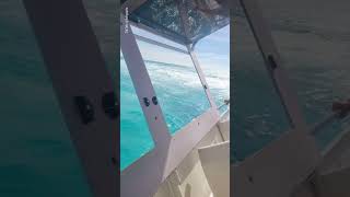 Horror Moment Tourist Ferry Sinks In The Bahamas  10 News First [upl. by Recneps]