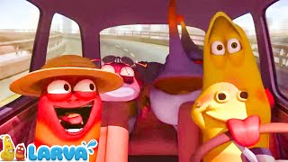 Larva Season 3 🍟Cartoons  Viagem 🥟 Cartoon Comedy 2020 🍟The newest compilation 2022 [upl. by Eiramanin]