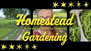 Homestead Garden Food Preservation Recipe Alabama DIY HowTo Collards Green beans amp More [upl. by Ayote]