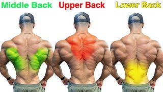 أفضل تمارين الظهر الفعالة لتوسيع الظهر  مرتبة  Back Workout Ranked [upl. by Lauralee]