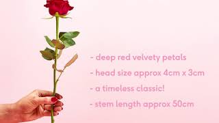 Moonpig How to pick the best red roses [upl. by Jangro]