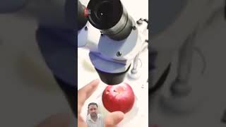 3 सबसे कमाल के microscopic view 😲😯 shortsyoutubeshorts science [upl. by Paten649]