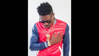 Shatta Wale  Freedom Audio Slide [upl. by Emelita729]