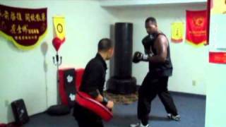 Choy Lee Fut San Shou trainingwmv [upl. by Eliak832]