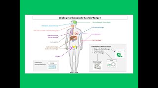 Wichtige onkologische Fachrichtungen  Strahlentherapie Prof Hilke Vorwerk [upl. by Aretak]