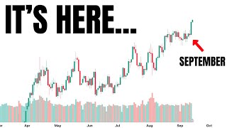 The Worlds Biggest Stock Market Hedge Just Went Ballistic… [upl. by Hughett]