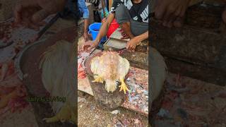 Most Attractive Big Size Whole Chicken Cutting Skills In Expert Cutter 😱 shorts [upl. by Ffej]