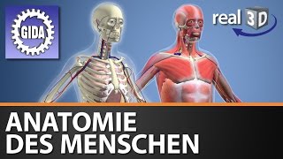 Trailer  Anatomie des Menschen  Biologie  3D Software [upl. by Broome]