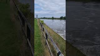 Collingham Weir River Trent 061024 Awsome Power Of The River 😯😯🏴‍☠️ fishing [upl. by Maible]