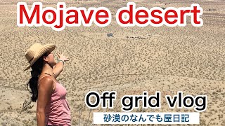 アメリカ砂漠の一軒家近所の散歩モハベ砂漠カリフォルニアアメリカ西海岸Mojave Desert Vlog [upl. by Allenrac]