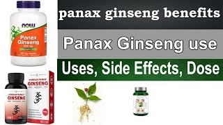 Panax Ginseng benefits for men woman  Uses Side Effects Dosage HINDI  URDU [upl. by Mehta]