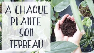 🌿 Quel terreau pour quelles plantes dintérieur [upl. by Nivrad]