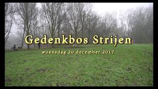 Gedenkbos Strijen [upl. by Vinia]