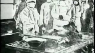 Unit 731 Japanese Biological Warfare Program WWII [upl. by Ria]