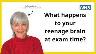 What happens to your teenage brain at exam time [upl. by Mighell]