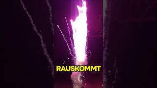 DAMIT bekommst du garantiert AUFMERSAMKEIT feuerwerk silvester [upl. by Schiffman995]