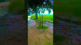 rimjhim barsa ke Pani 💧🌧️⛈️ [upl. by Humfrid]