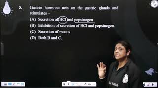 Gastrin hormone acts on the gastric glands and stimulates [upl. by Dion]