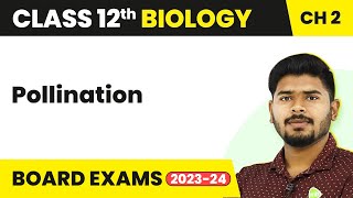 Pollination  Sexual Reproduction in Flowering Plants  Class 12 Biology 202223 [upl. by Myranda]