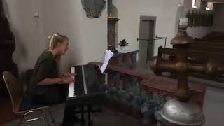 The Rose  Bette Midler Jacqueline Hess Piano  Voice Cover [upl. by Onitnevuj104]