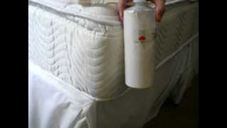 Killing Bedbugs Naturally Using Diatomaceous Earth [upl. by Rats]