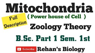 Mitochondria structure amp function Rehans Biology कोशिका का शक्तिगृह BSc1 Sem1st Zoology [upl. by Nuhsal509]