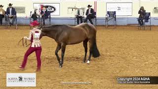 2024 AQHYA World Championship Show 1418 Showmanship [upl. by Maitilde]