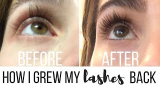 How I Grew My Eyelashes Back After Eyelash Extensions [upl. by Anigue]