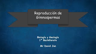 Reproduccion gimnospermas [upl. by Elberfeld]