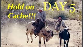 Day 5 Horse wont stop bucking while roping wild cattle [upl. by Vallie]