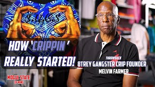 Inside Look How Crippin Began with 8 Trey Gangster Crip Melvin Farmer [upl. by Keen]