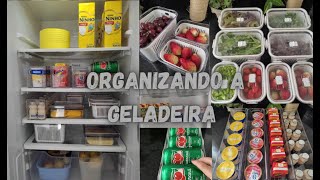 ORGANIZANDO A GELADEIRA POTES HERMÉTICOS  GELADEIRA ORGANIZADA [upl. by Hsemar]