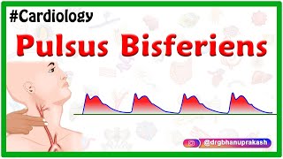 Pulsus bisferiens  USMLE  Cardiology [upl. by Annwahsal165]