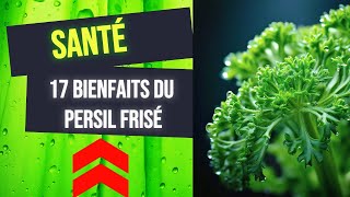 Bienfait du Persil Frisé pour Votre Santé  🌿✨ [upl. by Suzi986]