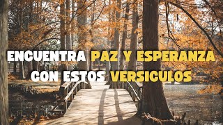 VERSICULOS Bíblicos de Paz Esperanza Sanación y Prosperidad  PALABRA DE DIOS [upl. by Austina728]