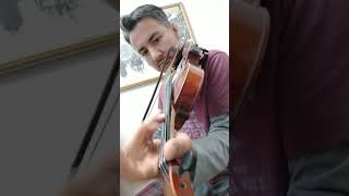 Huysuz ve Tatlı Kadın keman🎻 [upl. by Loria]