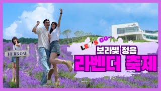 Vlog 💜스쳐도 인생샷 세상이 보라보라해 🪻정읍의 허브원💜 라벤더축제🪻국내최대 규모의 정원  Herbs and lavender [upl. by Azerila]