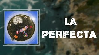 DannyLuxx  La Perfecta Lyrics [upl. by Endora]