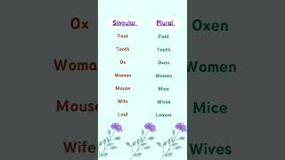 Singular vs Plural oceanofenglish shorts learnenglish esl [upl. by Anestassia]