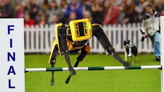 I Entered A Robot Dog Into A Dog Competition [upl. by Otsuaf]