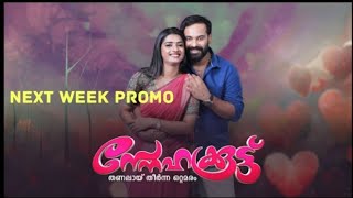 Snehakooduസ്നേഹക്കൂട്ട് I Next weeks Promo [upl. by Etep]