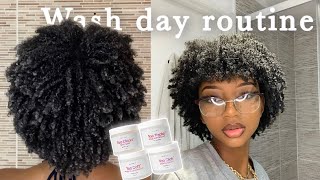 UPDATED WASH DAY ROUTINE ON LOW POROSITY 4B4C NATURAL HAIR Get a PERFECT Twistout every time [upl. by Timi]